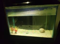 Fish Aquarium with all accessories - 2.5 feet size