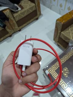 one plus wrap charger (80 W)