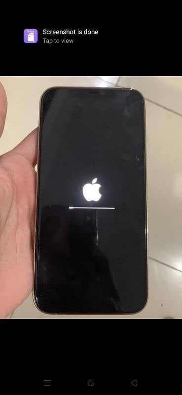 Iphone 12 pro max pta approved 1