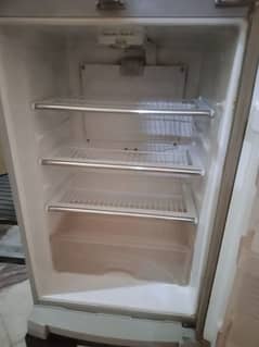 Fridge medium Sized