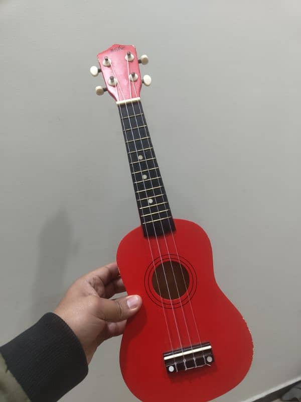 Ukuleles 3