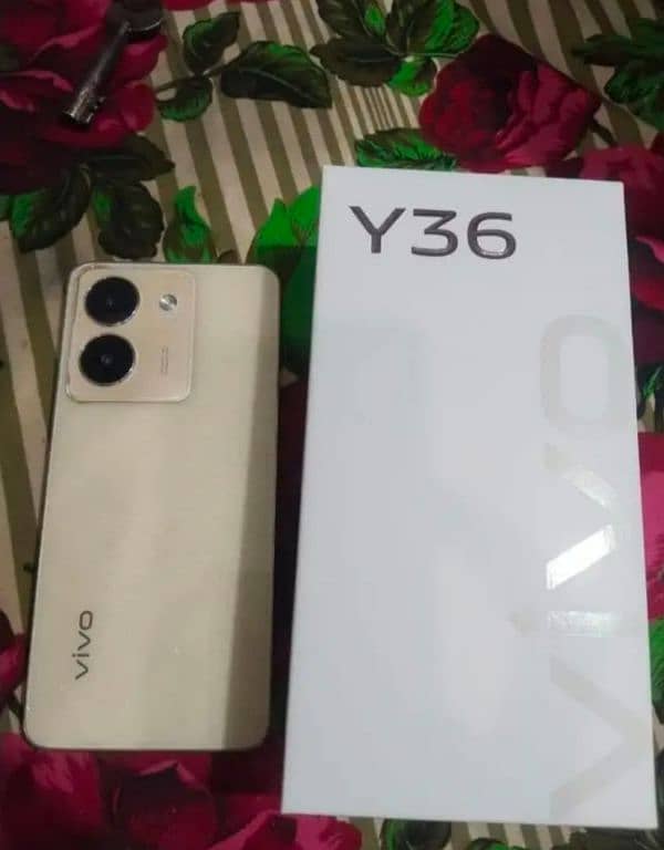 vivo y36 1