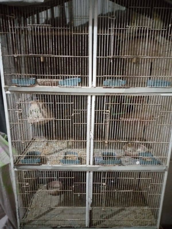 8 partition cage is available for sale 0