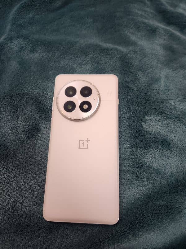 Oneplus 13 16/512 1