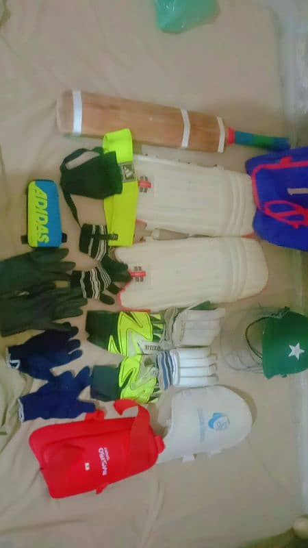 cricket kit 2