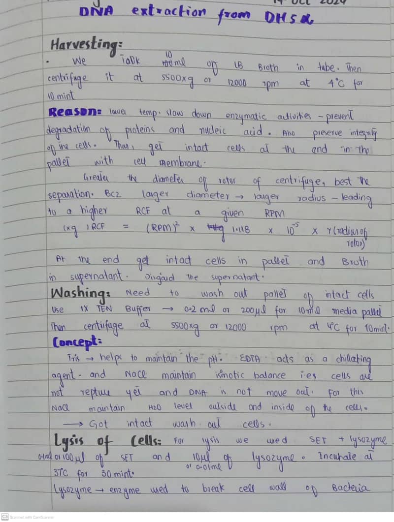 I"ll write soft form/handwritten assignment from school to university. 2