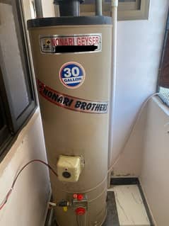 30 gallon electric & gas gyser