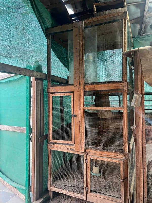 3 portion 7 feet hens cage 4