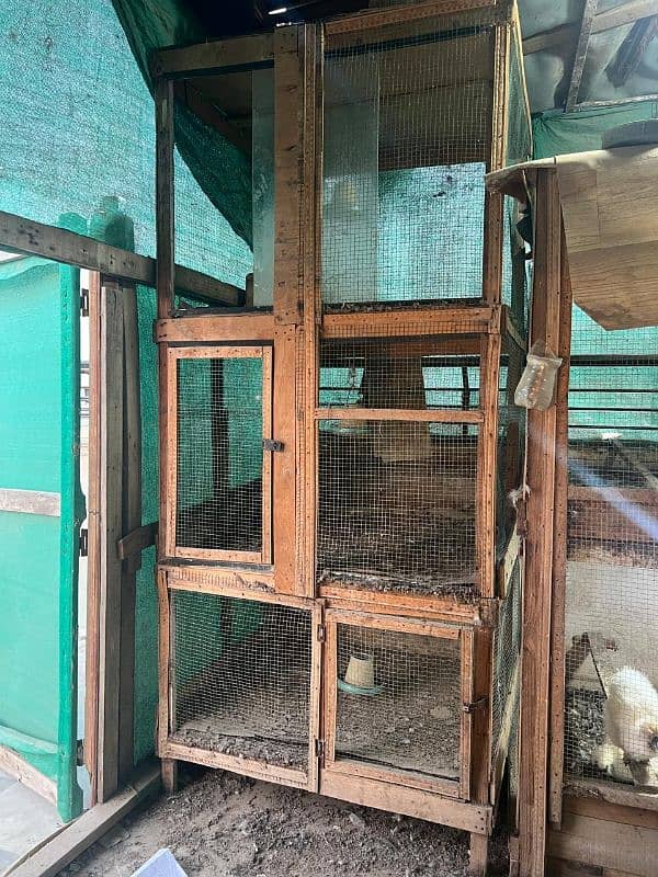 3 portion 7 feet hens cage 5