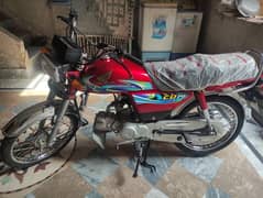 HONDA CD70 2024