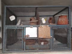 cage for sale