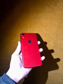 iPhone xr