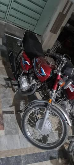 Honda 125 Red 2024