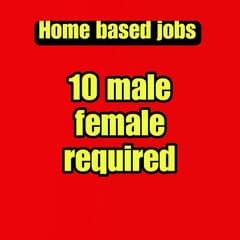 10 male female required home based job