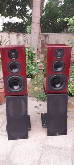 FOCAL COBALT 800S LIKE JBL BOSE KLIPSCH DENON MARANTZ ONKYO KEF INTEGR