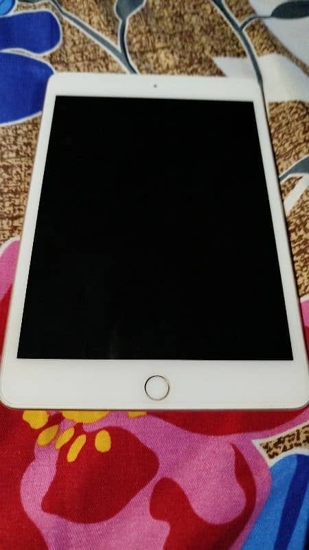 iPad mini 5 1