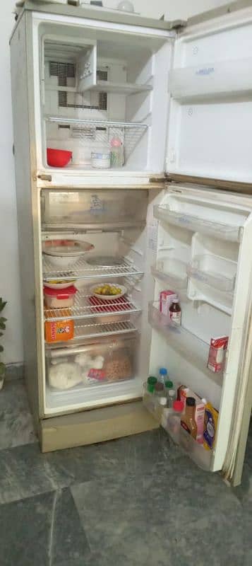 fridge 1