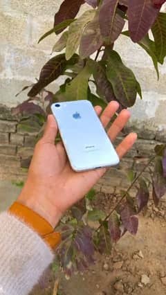 iphone 7 for sale (03120479081)