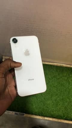 iphone xr for sale (03120479081)