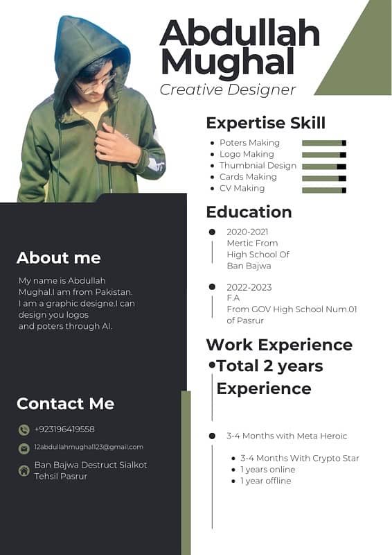 I am a professional graphic designer this is my cv 0