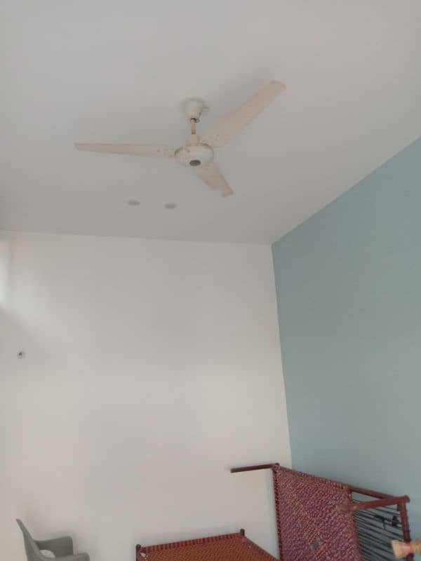 Wall Painting Service - Interior & Exterior Best Rates Guaranteed 2