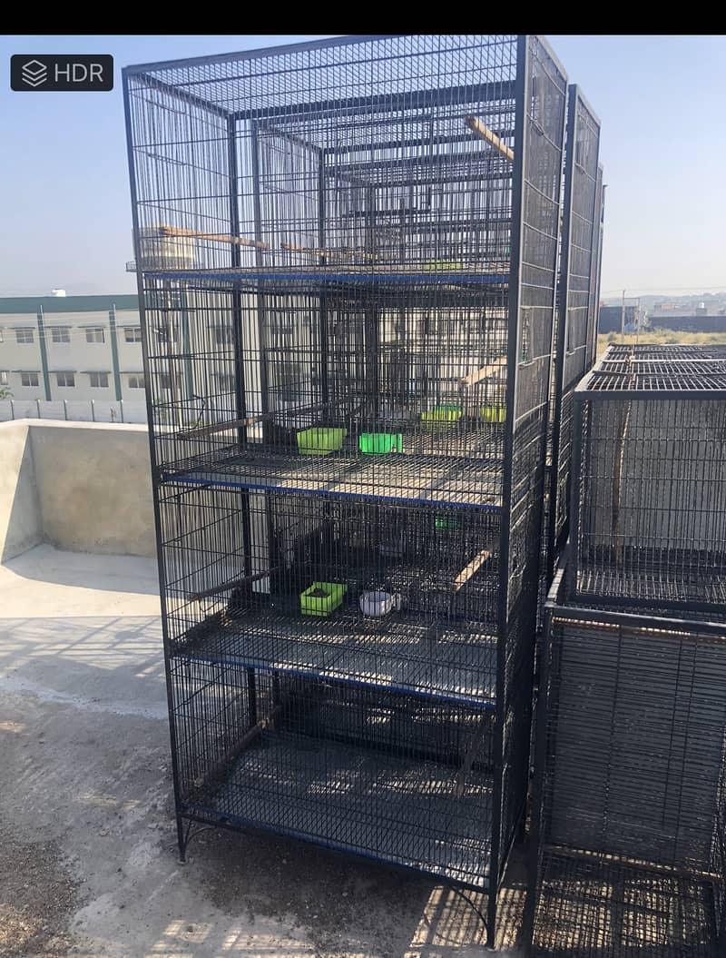 Parrot cages 1