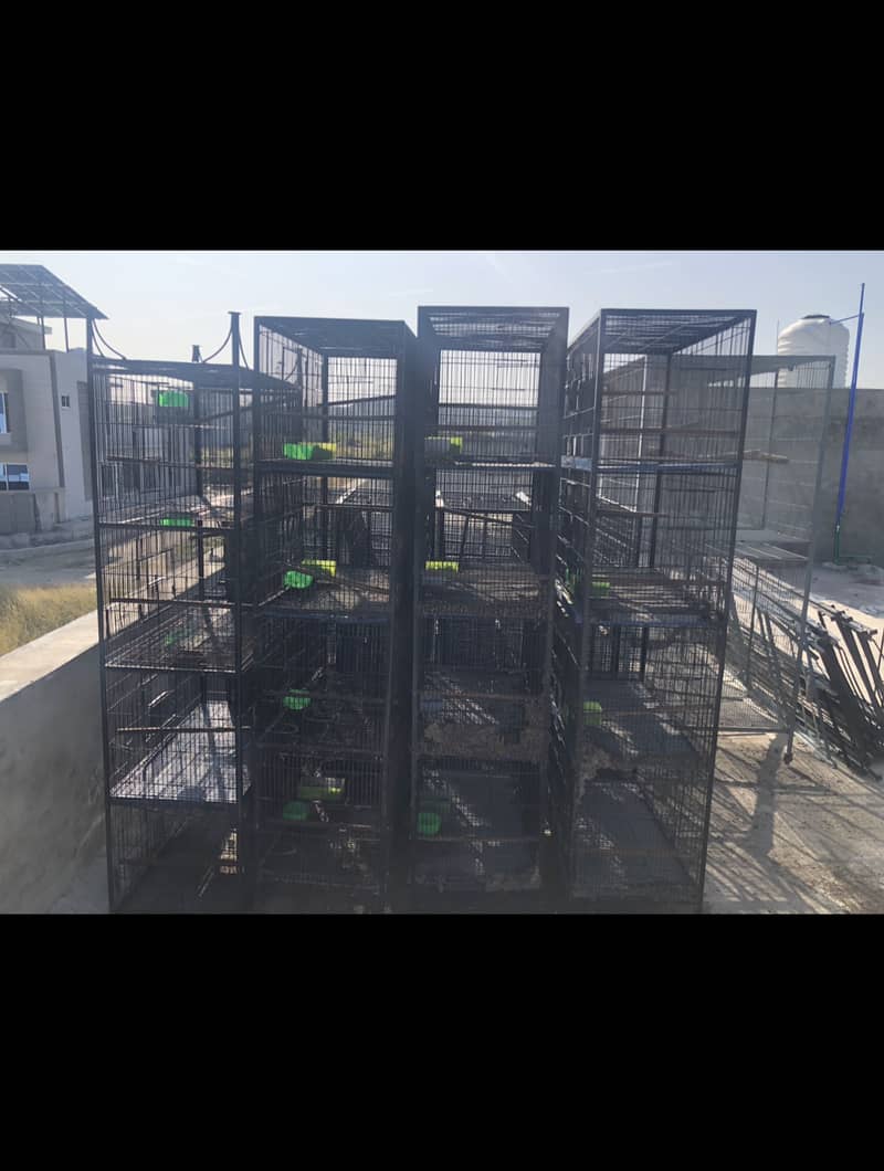 Parrot cages 2