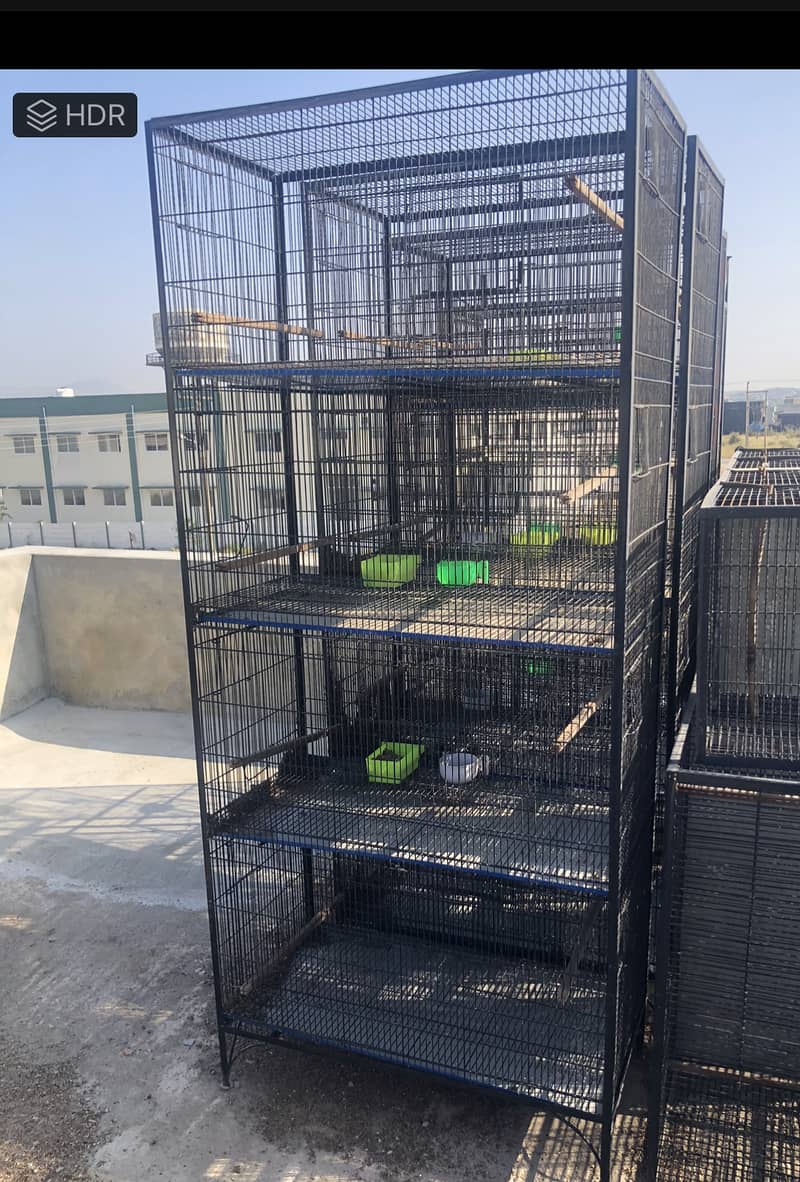 Parrot cages 3