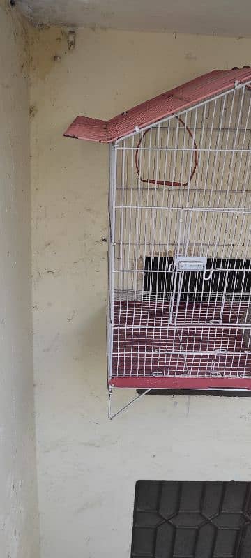 Parrot cage 1