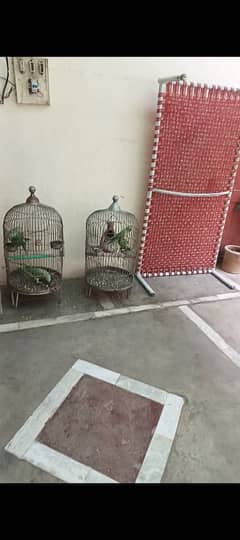 2 jummbo size cages for big parrots