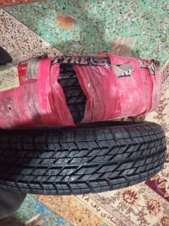 tyre  55 80 13