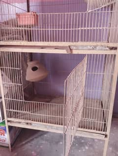 best parrot Cage