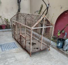 Bird cage