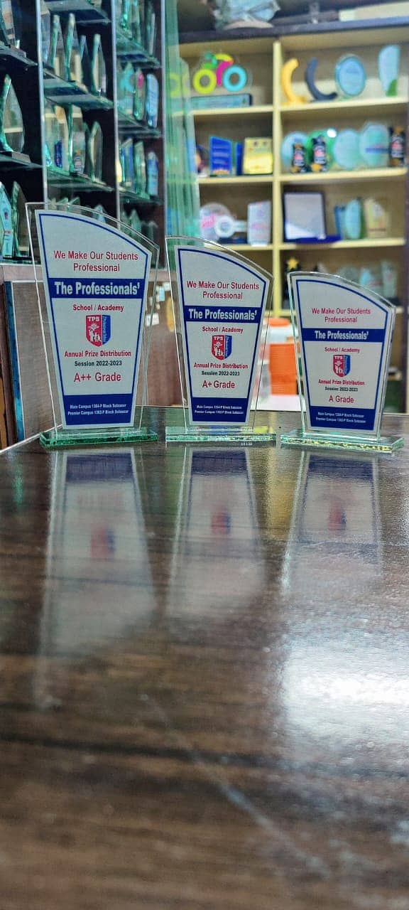 Award shield , Trophy / Glass shield award / school award trophies 18