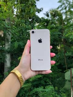 iPhone 8 plus 256 GB my WhatsApp number 03411594804