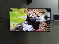 TCL 50 Inches Android LED