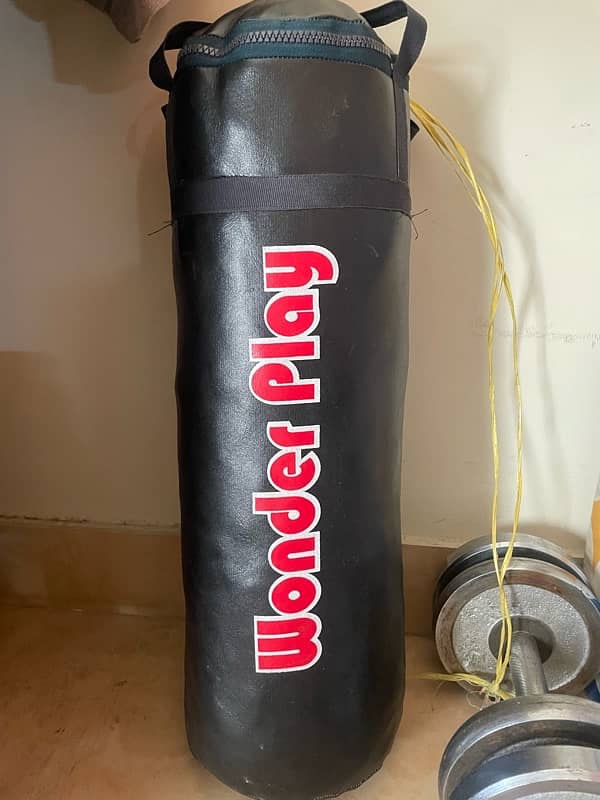 punching bag 0