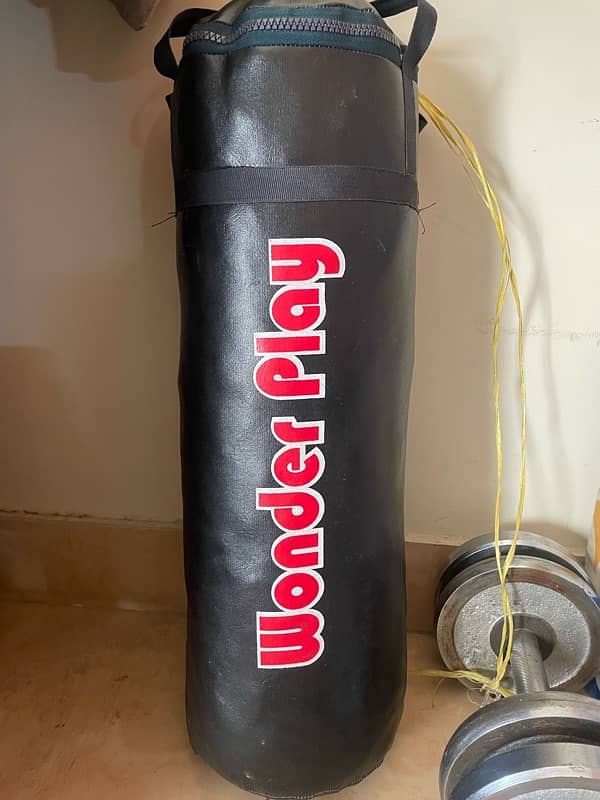 punching bag 1