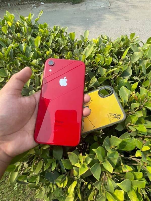 iPhone XR 5