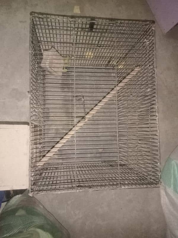 common lotino breader pair and 1.5 by 2 size cage and kikar box 8