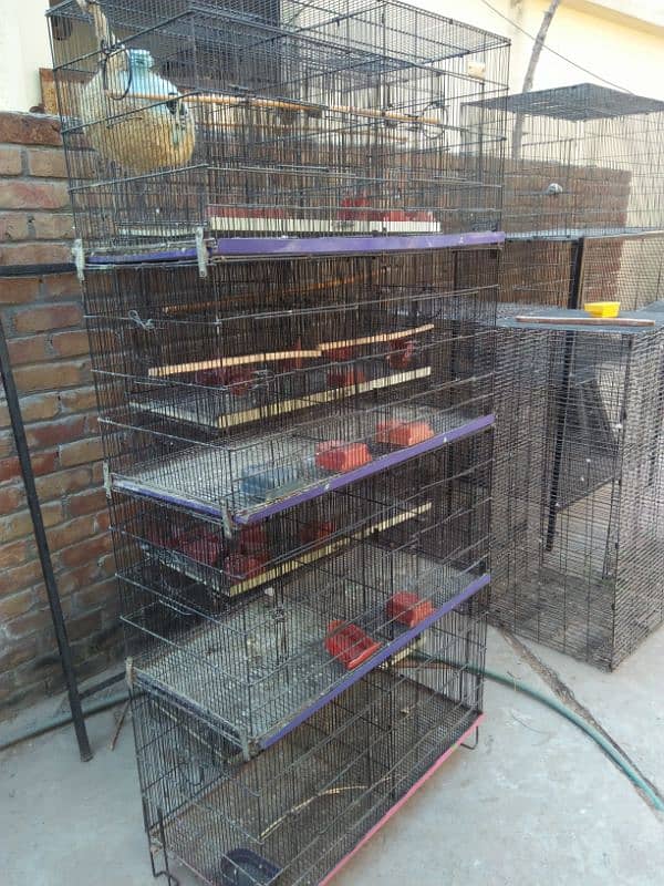 8 Portion Master Cage 2