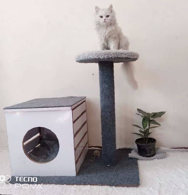 wooden cat house with playing tower for cats of all ages and sizes 0