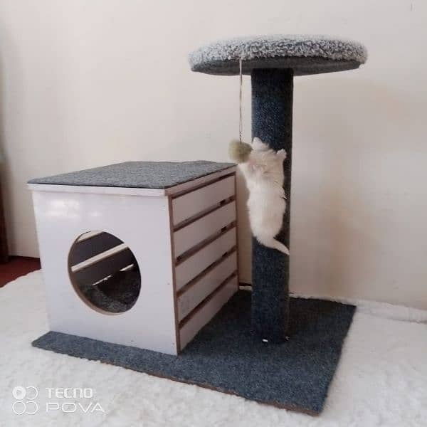 wooden cat house with playing tower for cats of all ages and sizes 2