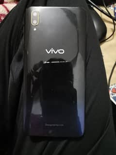 Vivo