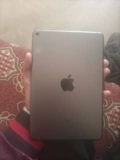 Ipad mini 5