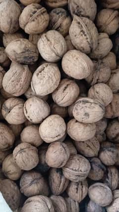 walnut