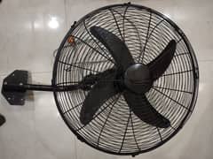 wall fan for sell