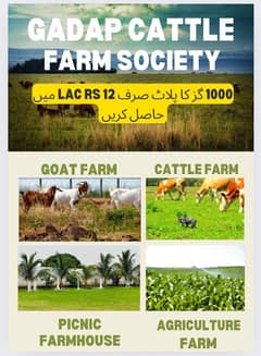 CATTLE FARM LAND