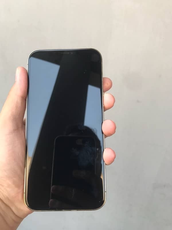 IPhone 12 Pro Max 128 GB non pta 1