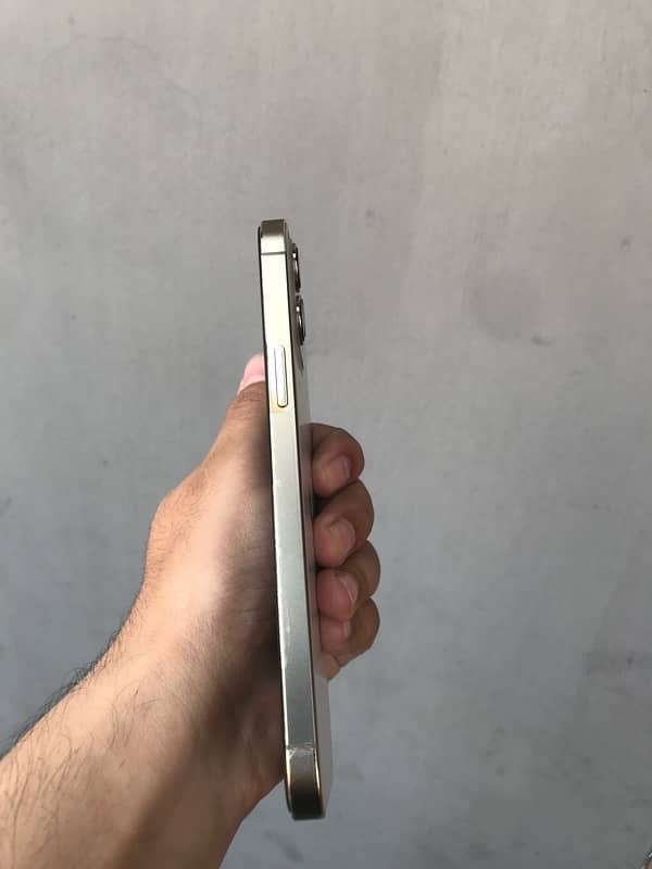 IPhone 12 Pro Max 128 GB non pta 7